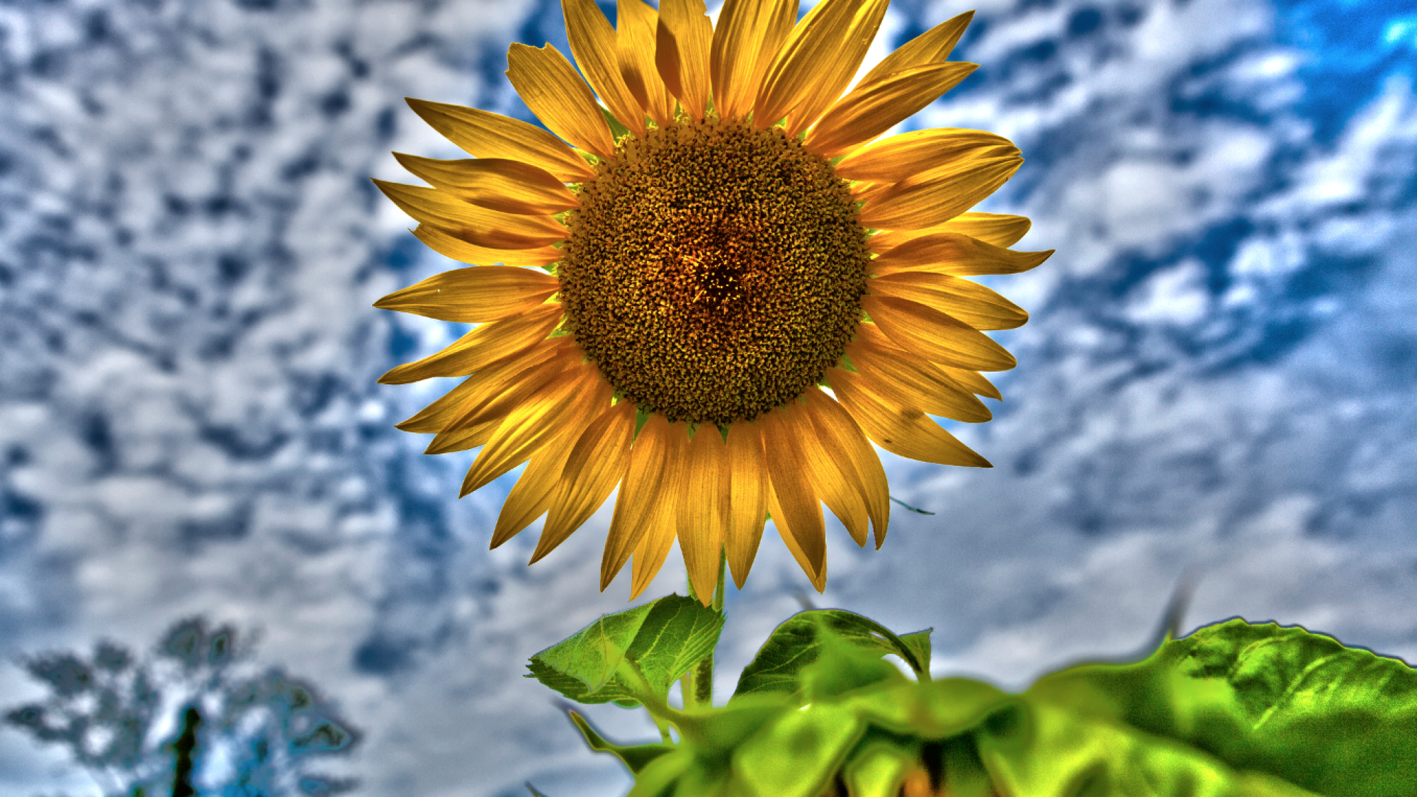 Featured Photoshop HDR