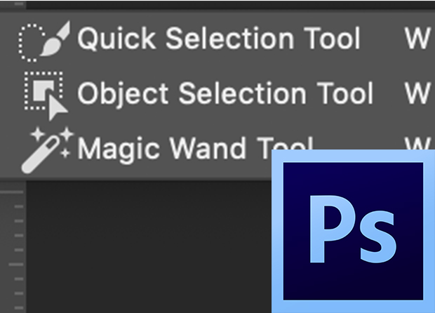 View of the Object Selection Tool in the toolbar