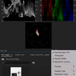 Image of lumetri scope settings